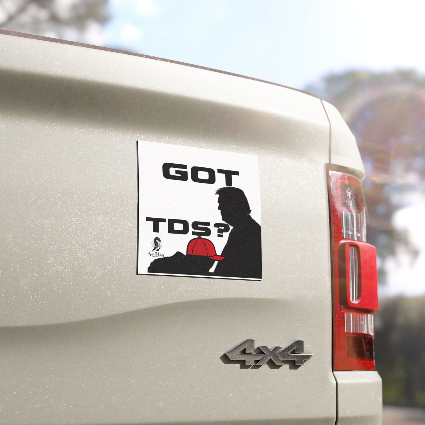 Car Magnet — "GOT TDS?"