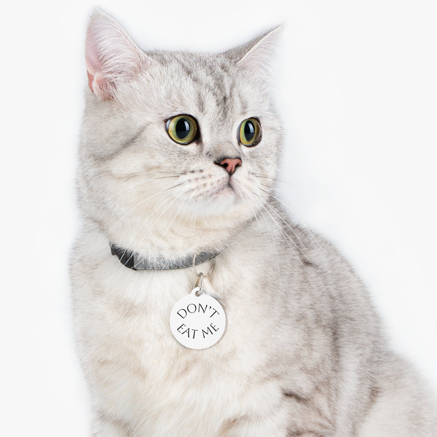 "Don't Eat Me" Round Pet ID Tag — Cute Penguin Design