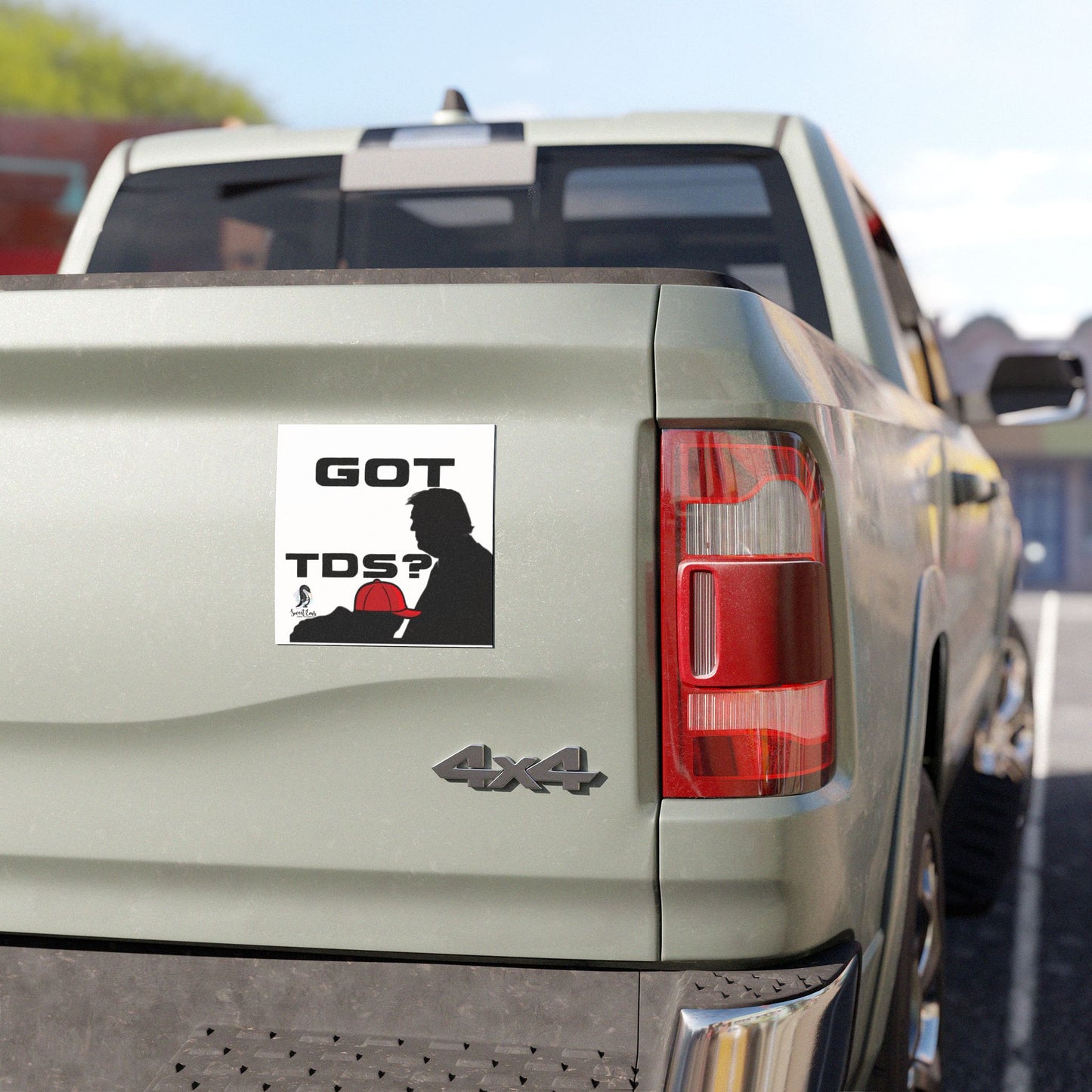 Car Magnet — "GOT TDS?"