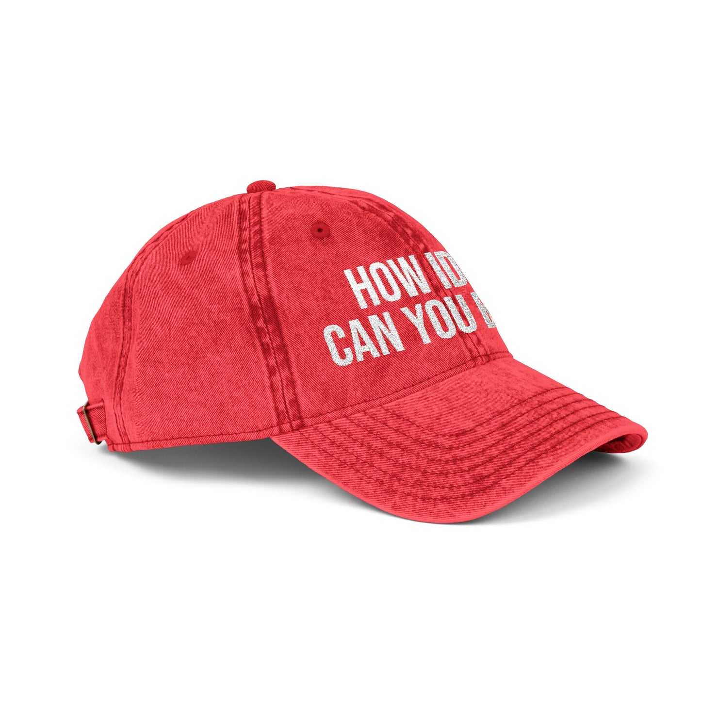 Embroidered Vintage Cap — "How Idiot Can You Be???" Red Dad Hat
