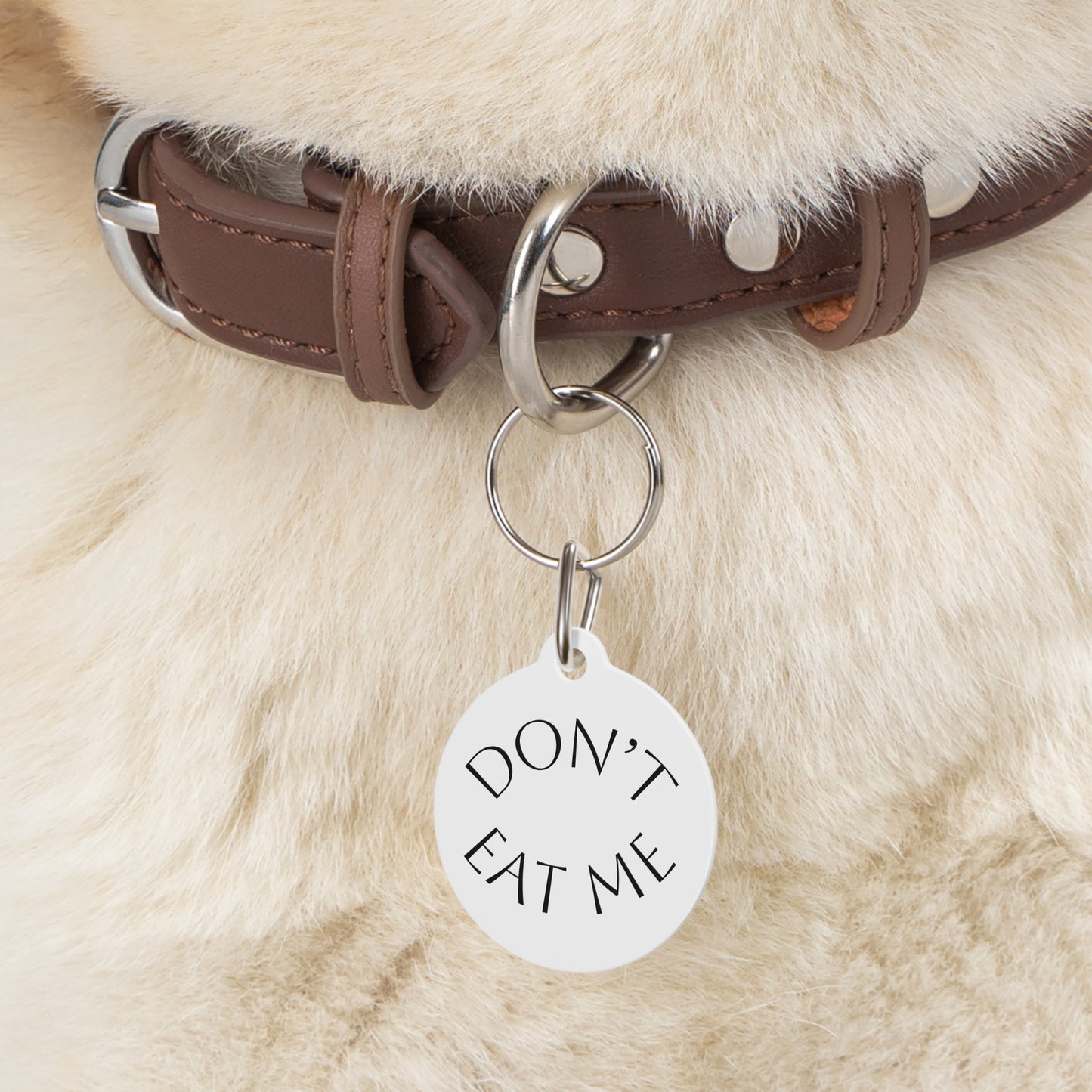 "Don't Eat Me" Round Pet ID Tag — Cute Penguin Design